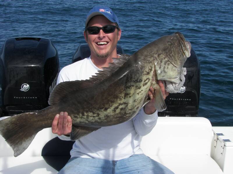 marine electronicsjacksonvilleabout us